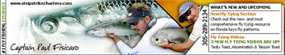 strip strike charters